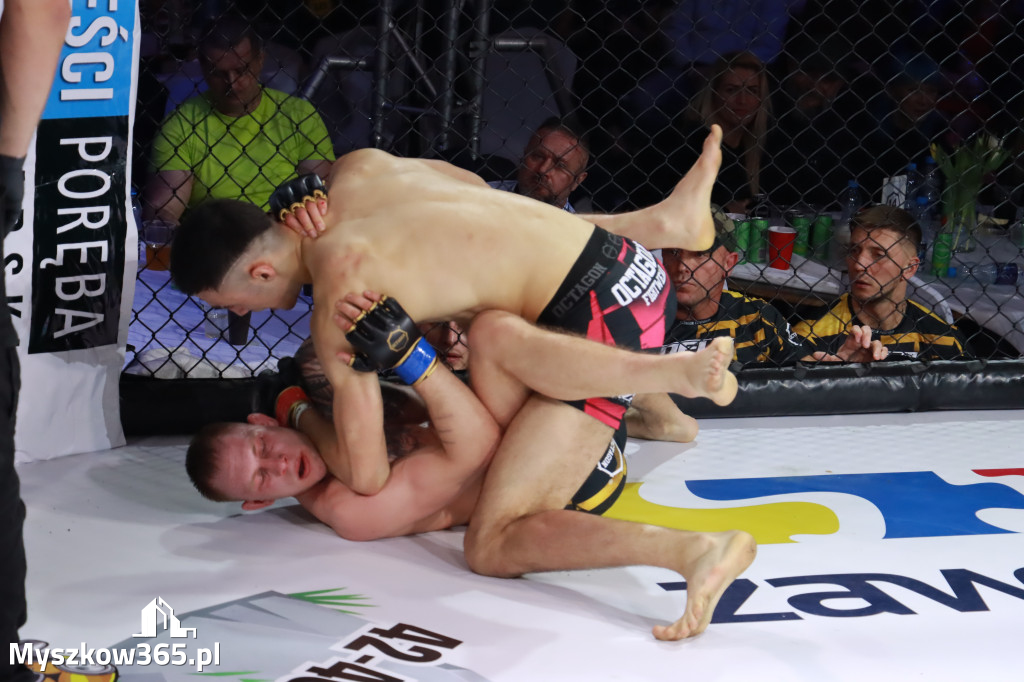 Fotorelacja - Gala Octagon Fight League 12 część 2