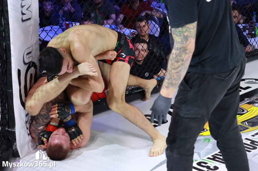 Fotorelacja - Gala Octagon Fight League 12 część 2