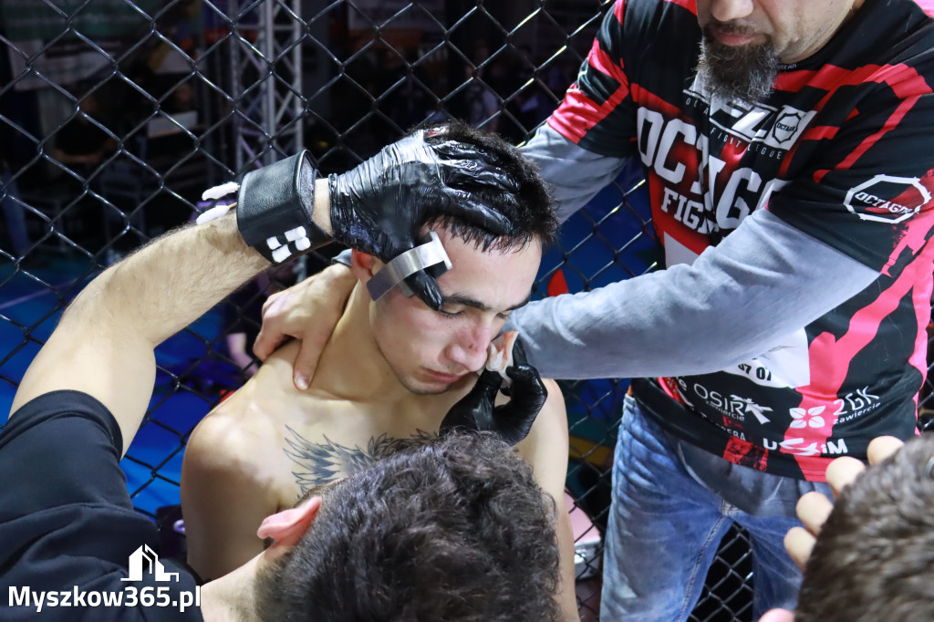 Fotorelacja - Gala Octagon Fight League 12 część 2