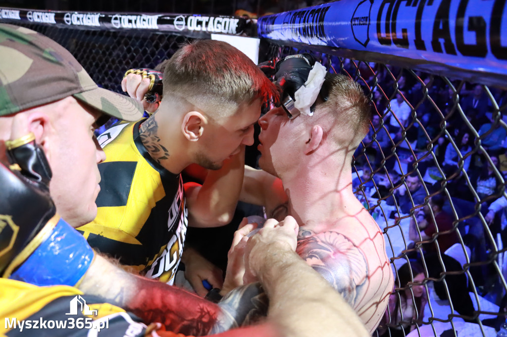 Fotorelacja - Gala Octagon Fight League 12 część 2