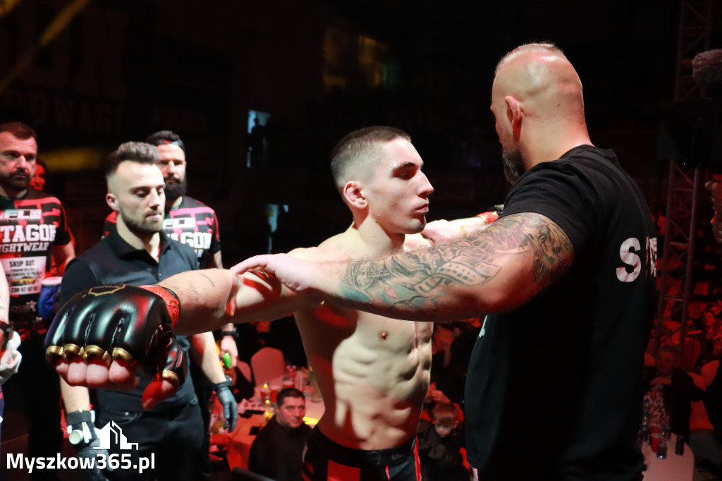 Fotorelacja - Gala Octagon Fight League 12 część 2