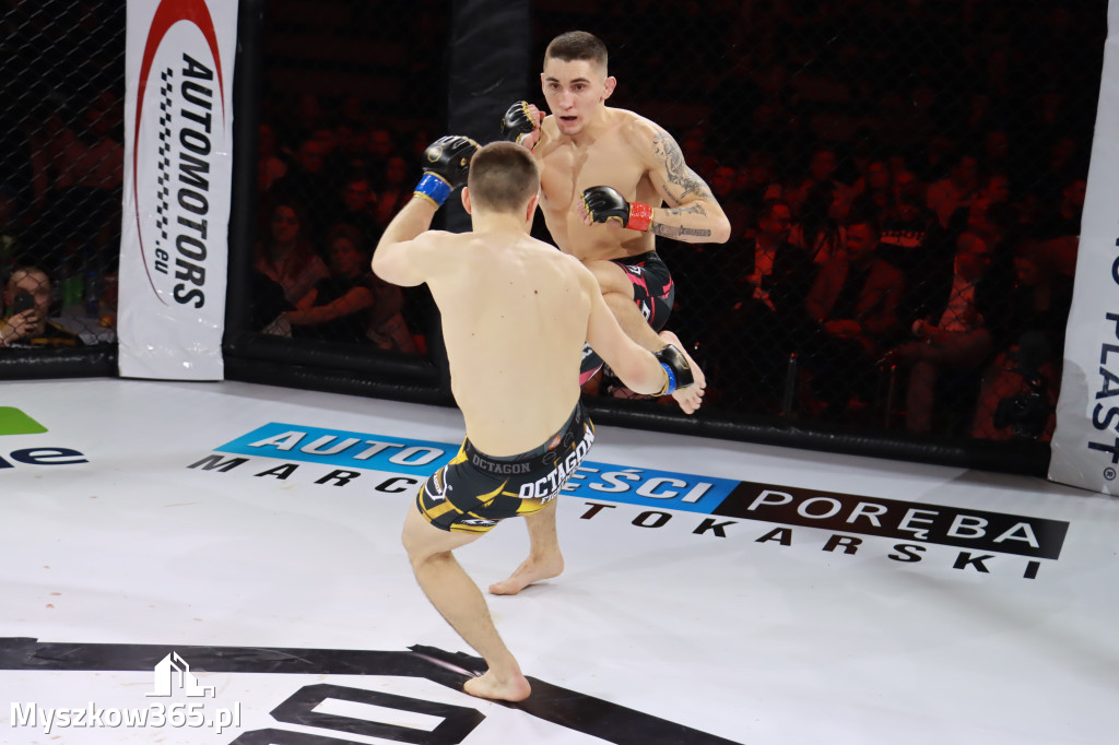 Fotorelacja - Gala Octagon Fight League 12 część 2