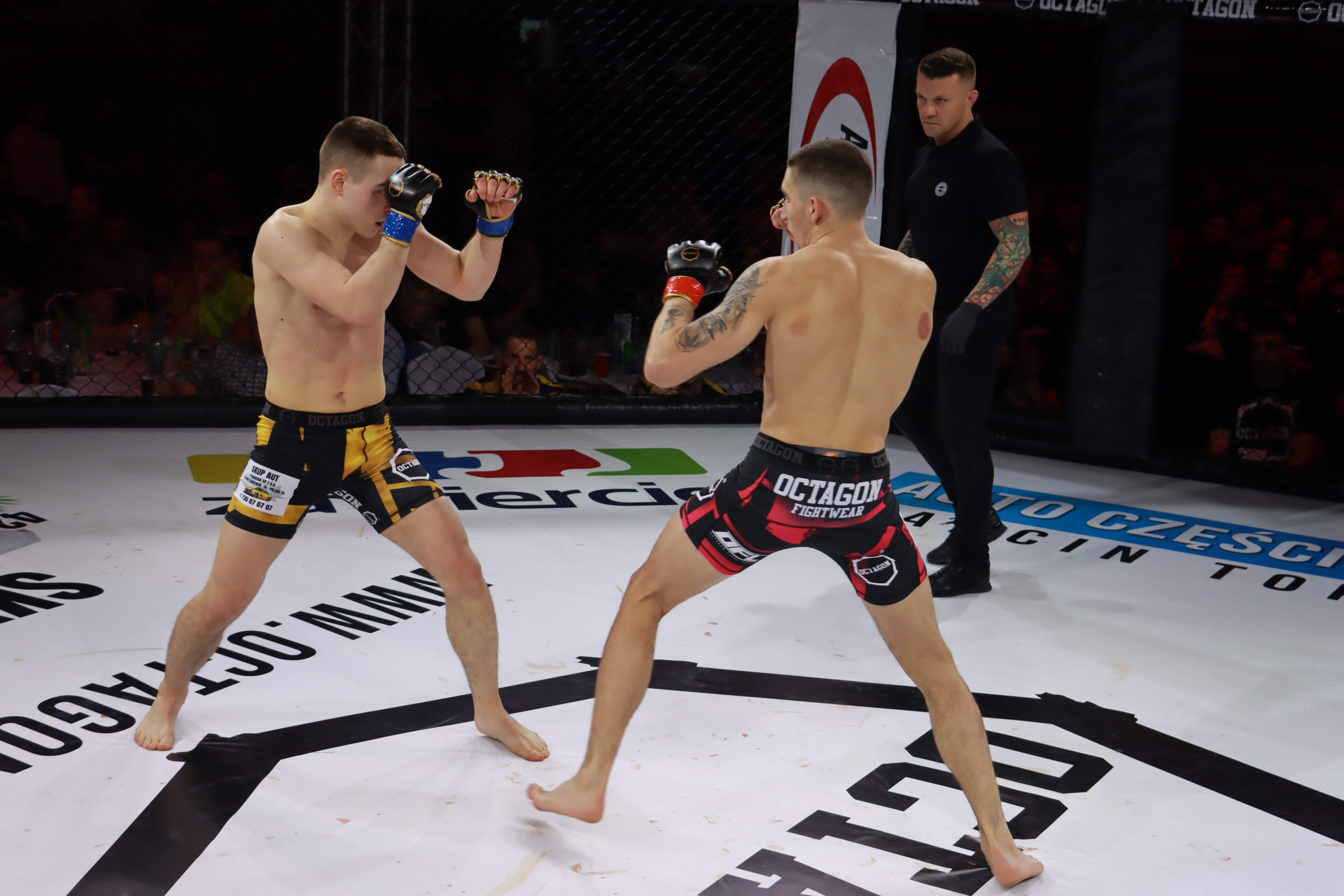 Fotorelacja - Gala Octagon Fight League 12 część 2