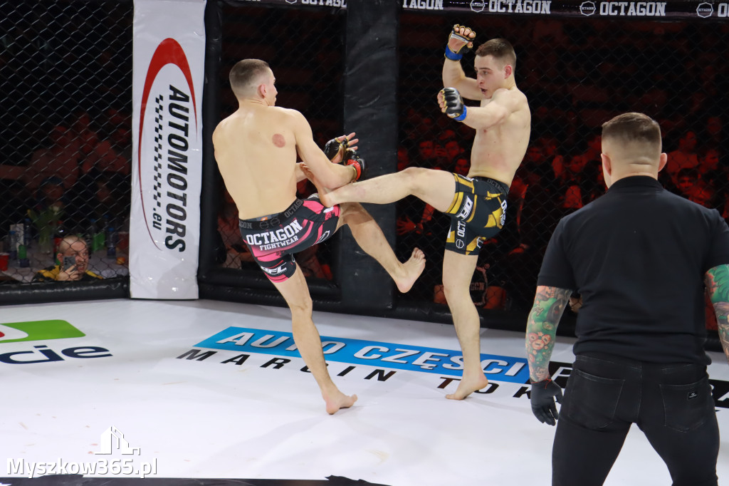 Fotorelacja - Gala Octagon Fight League 12 część 2