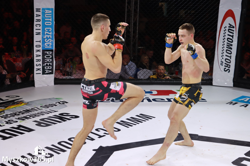 Fotorelacja - Gala Octagon Fight League 12 część 2