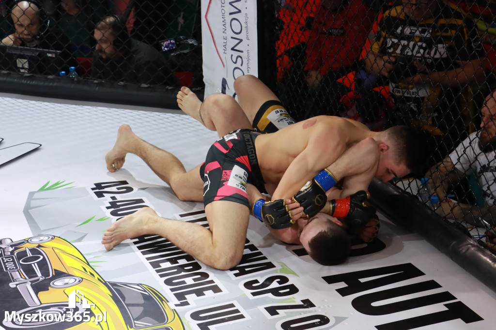 Fotorelacja - Gala Octagon Fight League 12 część 2