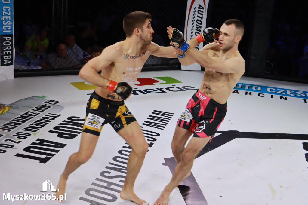 Fotorelacja - Gala Octagon Fight League 12 część 2