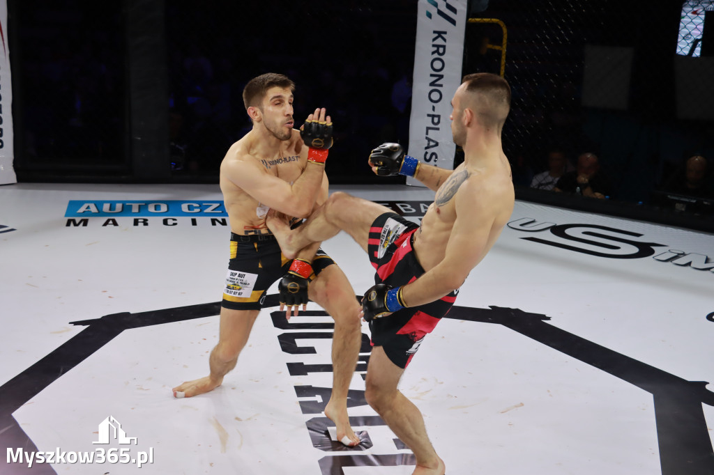Fotorelacja - Gala Octagon Fight League 12 część 2