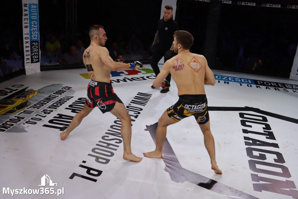 Fotorelacja - Gala Octagon Fight League 12 część 2