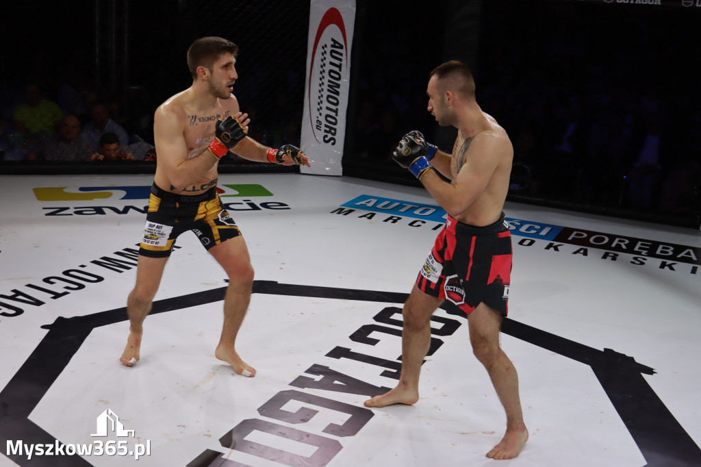 Fotorelacja - Gala Octagon Fight League 12 część 2