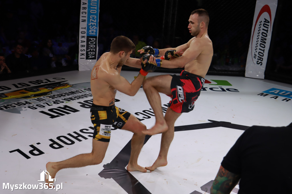Fotorelacja - Gala Octagon Fight League 12 część 2