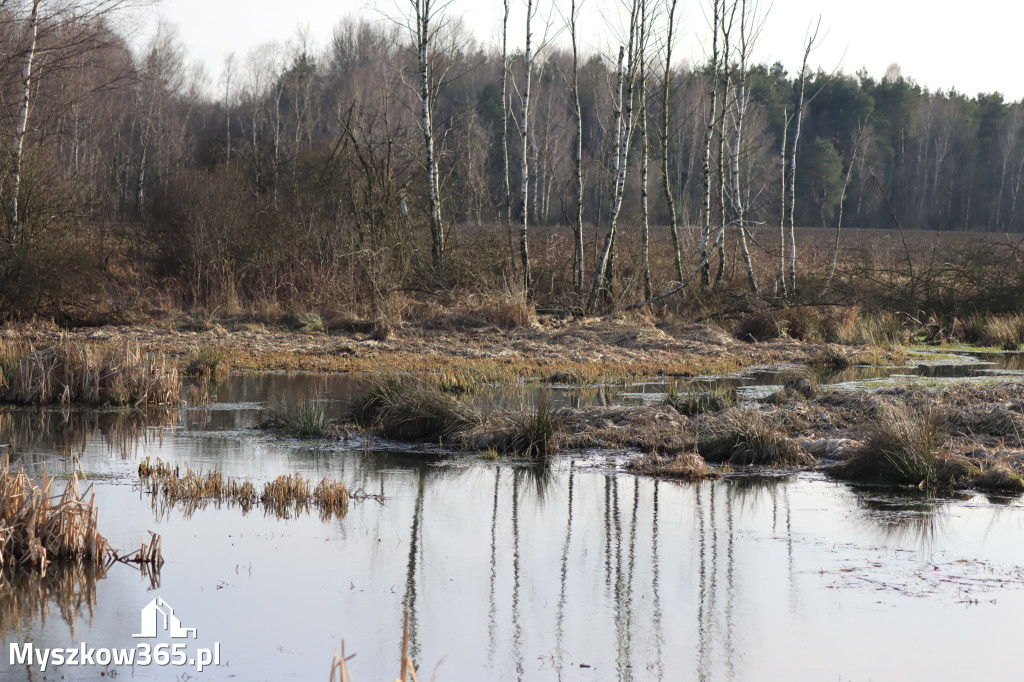 Fotorelacja - powiew wiosny w Myszkowie