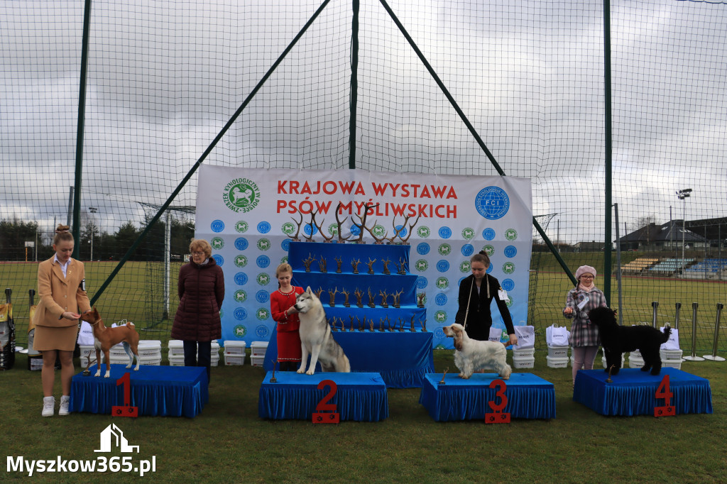 Krajowa Wystawa Psów Myśliwskich - Gniazdów g. Koziegłowy cz. 1