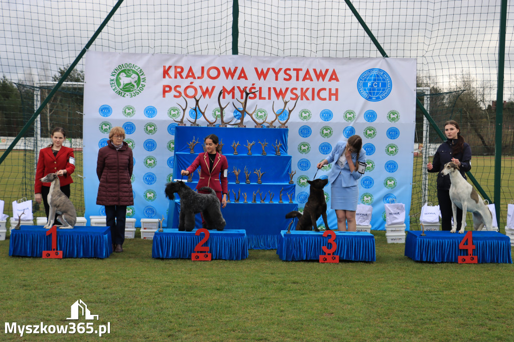 Krajowa Wystawa Psów Myśliwskich - Gniazdów g. Koziegłowy cz. 1