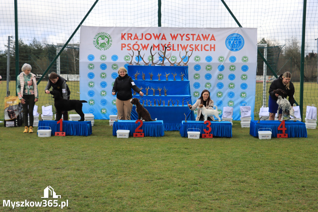 Krajowa Wystawa Psów Myśliwskich - Gniazdów g. Koziegłowy cz. 1