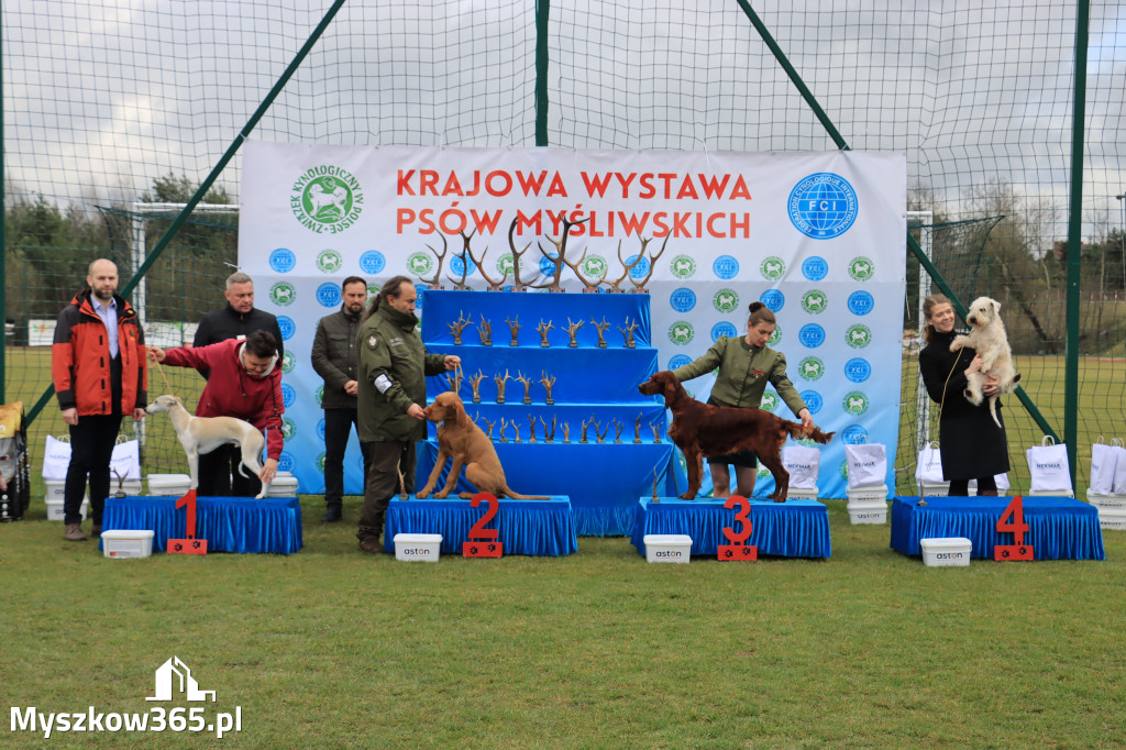 Krajowa Wystawa Psów Myśliwskich - Gniazdów g. Koziegłowy cz. 1