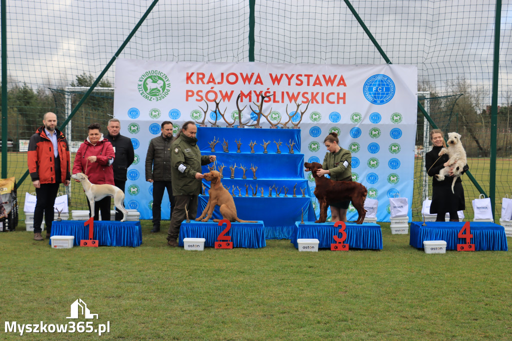 Krajowa Wystawa Psów Myśliwskich - Gniazdów g. Koziegłowy cz. 1