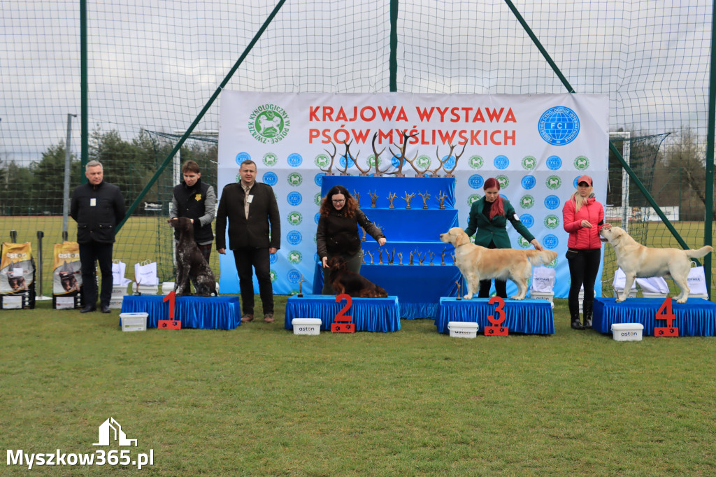 Krajowa Wystawa Psów Myśliwskich - Gniazdów g. Koziegłowy cz. 1