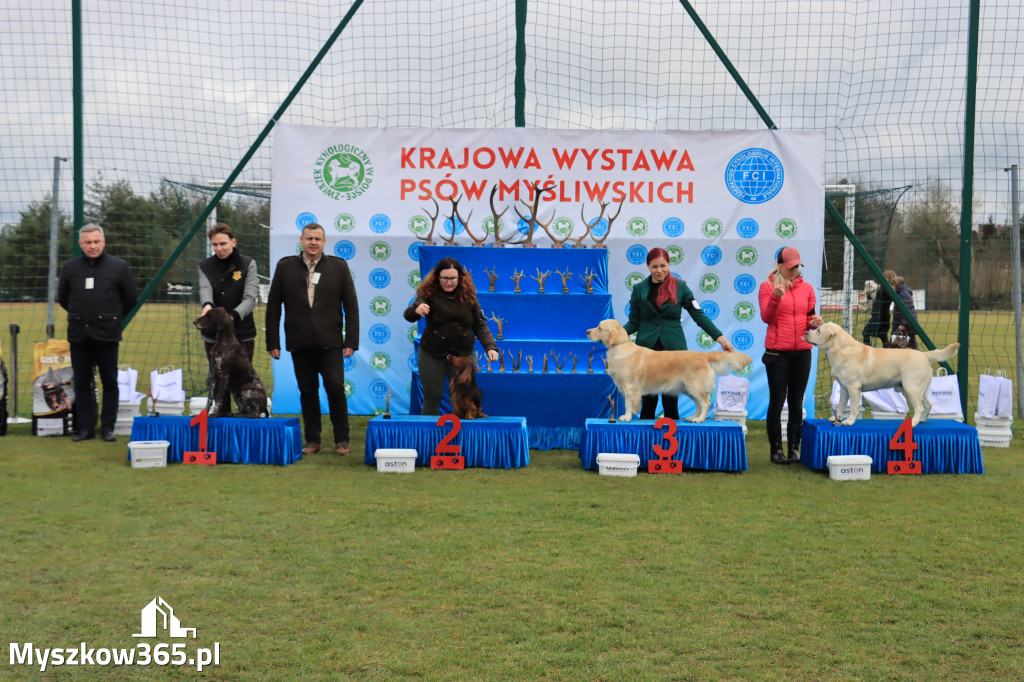 Krajowa Wystawa Psów Myśliwskich - Gniazdów g. Koziegłowy cz. 1