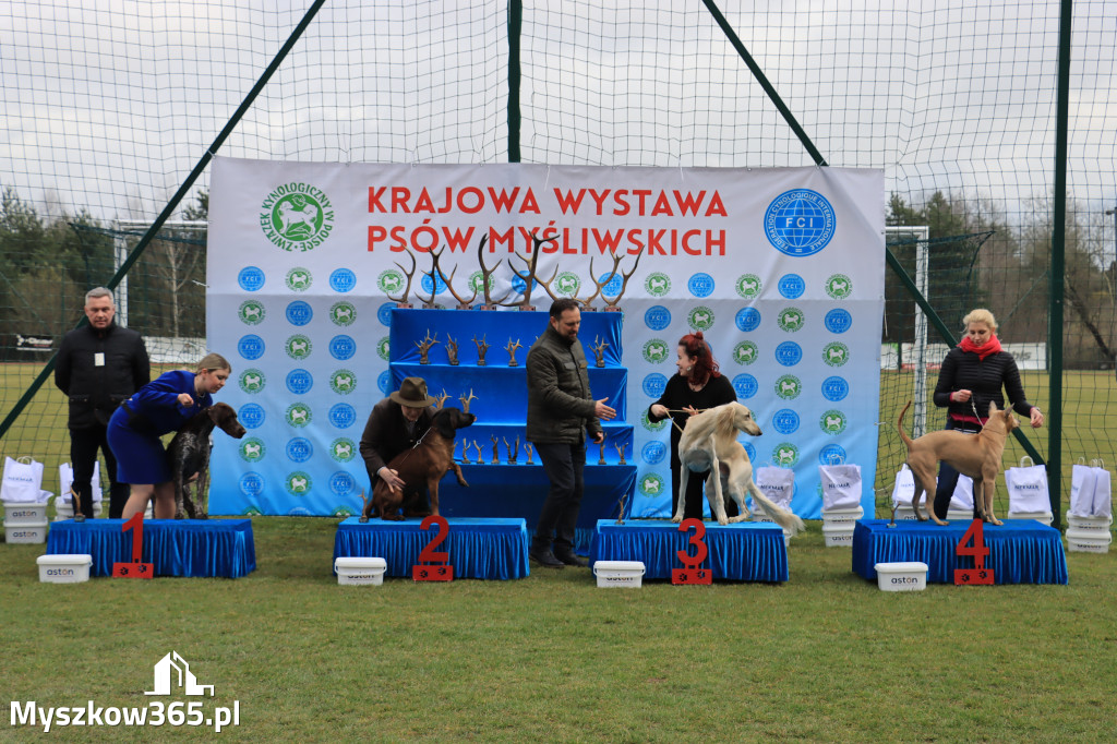 Krajowa Wystawa Psów Myśliwskich - Gniazdów g. Koziegłowy cz. 1