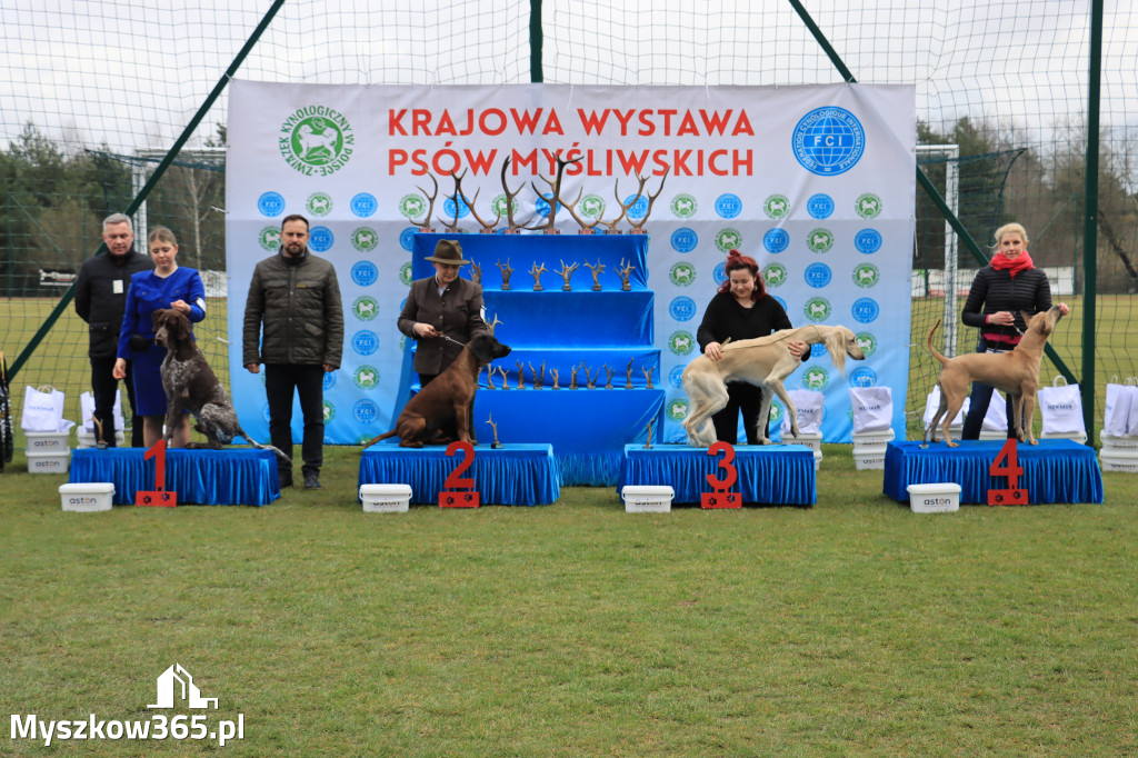 Krajowa Wystawa Psów Myśliwskich - Gniazdów g. Koziegłowy cz. 1