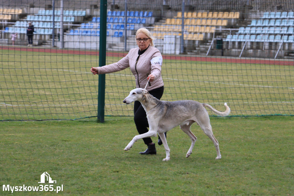 Krajowa Wystawa Psów Myśliwskich - Gniazdów g. Koziegłowy cz. 1