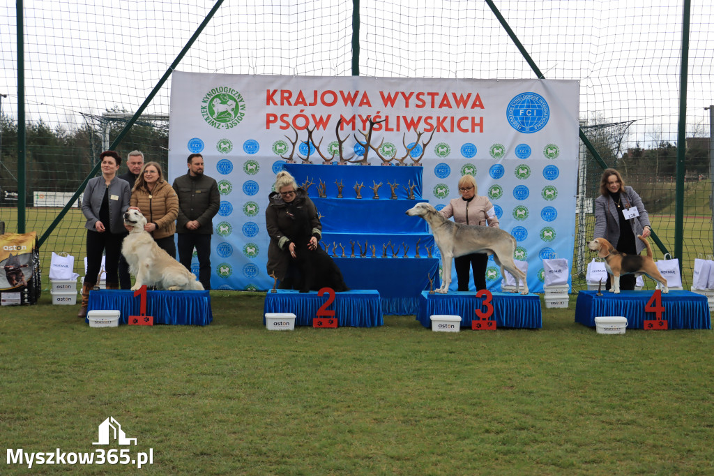 Krajowa Wystawa Psów Myśliwskich - Gniazdów g. Koziegłowy cz. 1