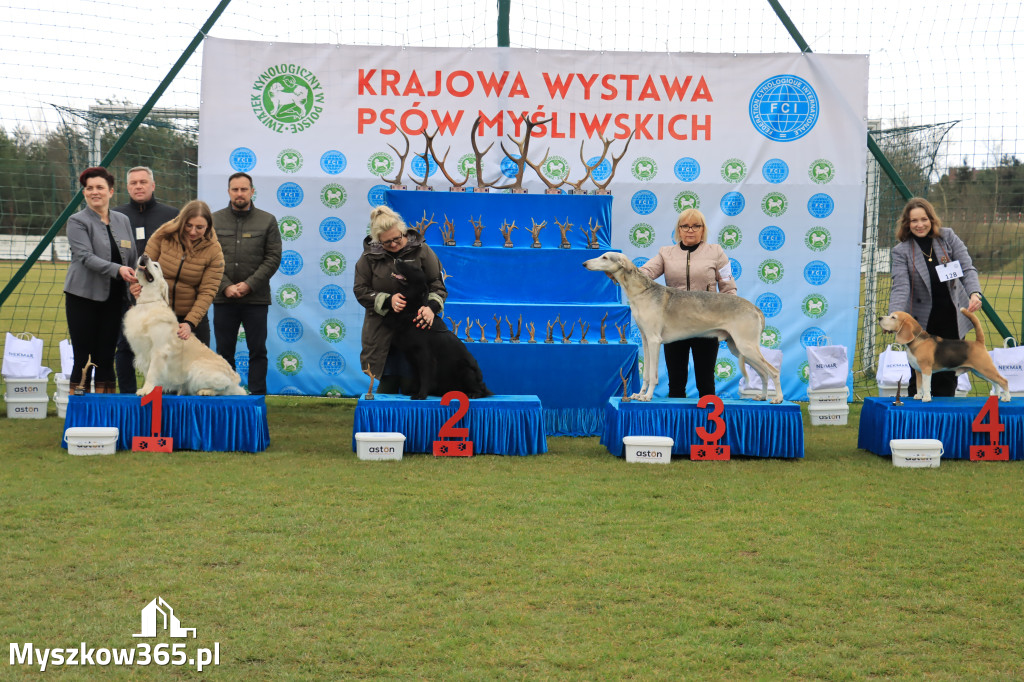 Krajowa Wystawa Psów Myśliwskich - Gniazdów g. Koziegłowy cz. 1