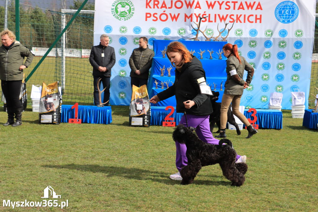 Krajowa Wystawa Psów Myśliwskich - Gniazdów g. Koziegłowy cz. 1