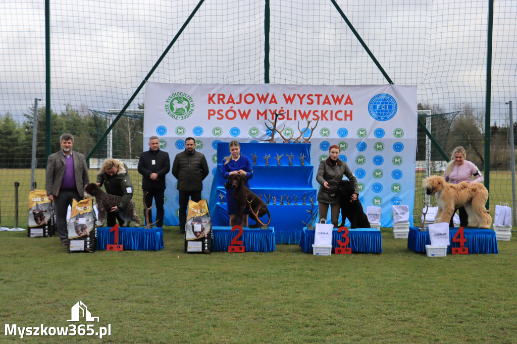 Krajowa Wystawa Psów Myśliwskich - Gniazdów g. Koziegłowy cz. 1