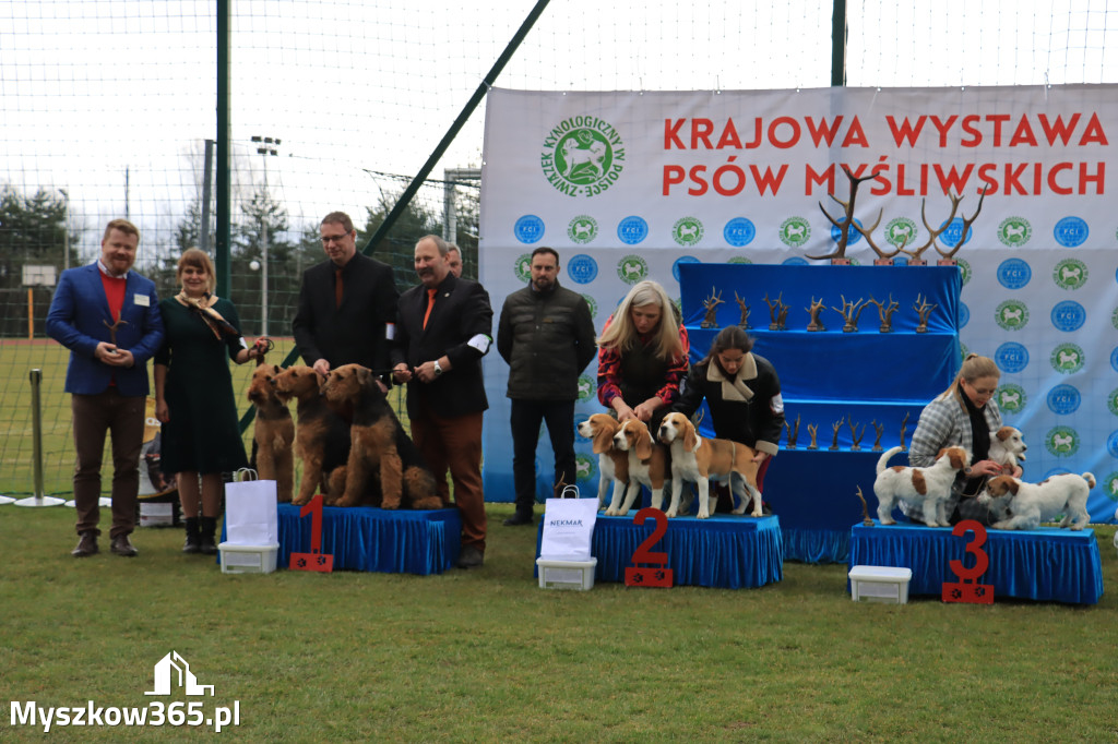 Krajowa Wystawa Psów Myśliwskich - Gniazdów g. Koziegłowy cz. 1