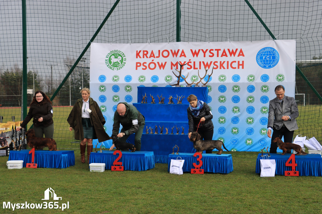 Krajowa Wystawa Psów Myśliwskich - Gniazdów g. Koziegłowy cz. 1