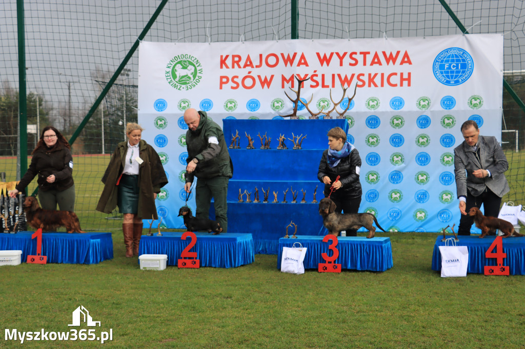 Krajowa Wystawa Psów Myśliwskich - Gniazdów g. Koziegłowy cz. 1