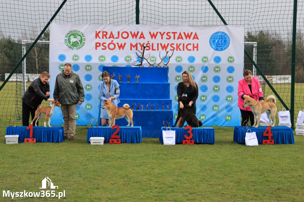 Krajowa Wystawa Psów Myśliwskich - Gniazdów g. Koziegłowy cz. 1