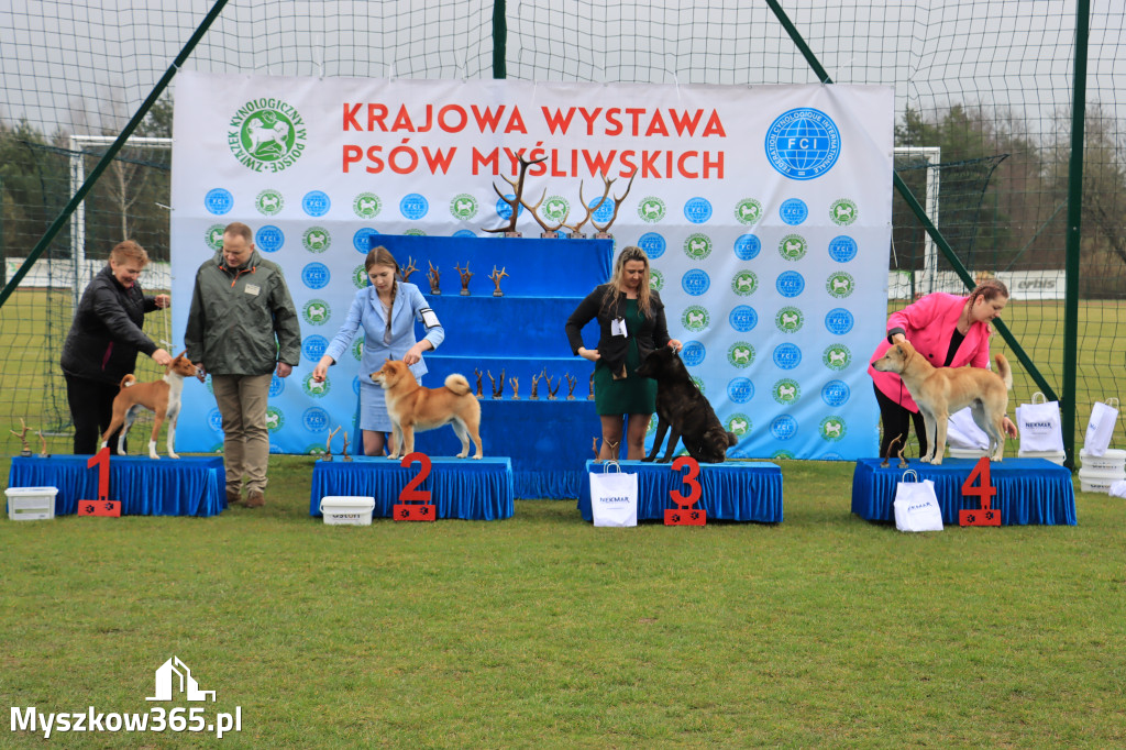 Krajowa Wystawa Psów Myśliwskich - Gniazdów g. Koziegłowy cz. 1