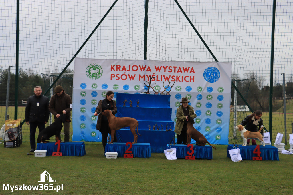 Krajowa Wystawa Psów Myśliwskich - Gniazdów g. Koziegłowy cz. 1