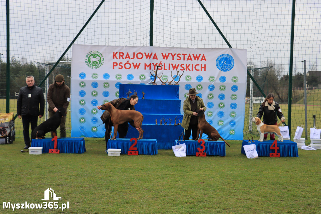 Krajowa Wystawa Psów Myśliwskich - Gniazdów g. Koziegłowy cz. 1