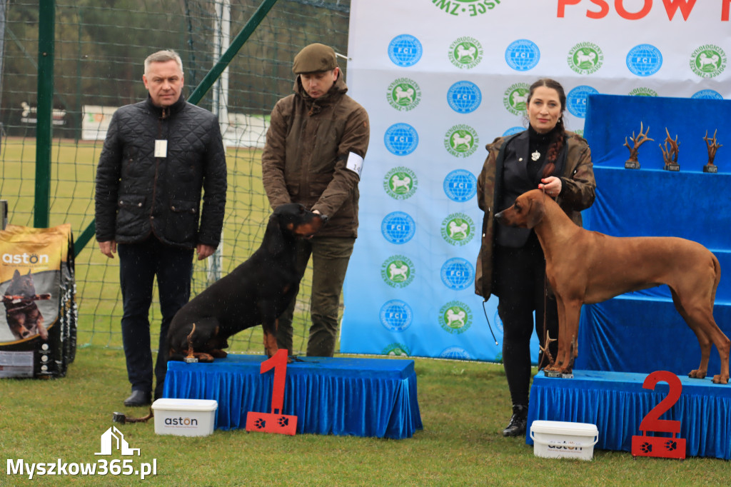 Krajowa Wystawa Psów Myśliwskich - Gniazdów g. Koziegłowy cz. 1