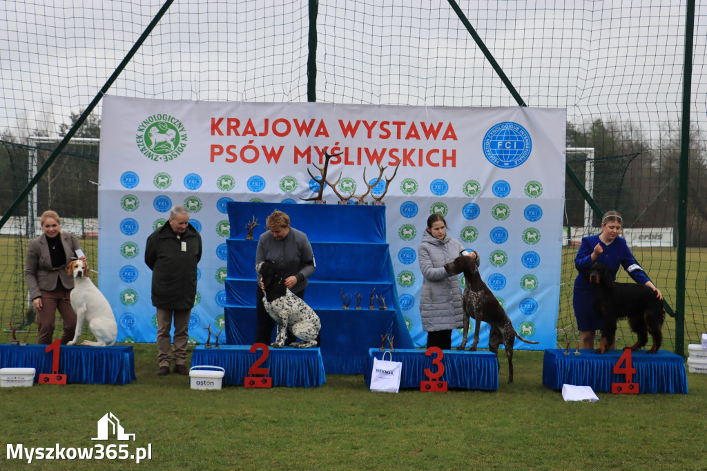 Krajowa Wystawa Psów Myśliwskich - Gniazdów g. Koziegłowy cz. 1