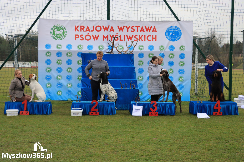 Krajowa Wystawa Psów Myśliwskich - Gniazdów g. Koziegłowy cz. 1