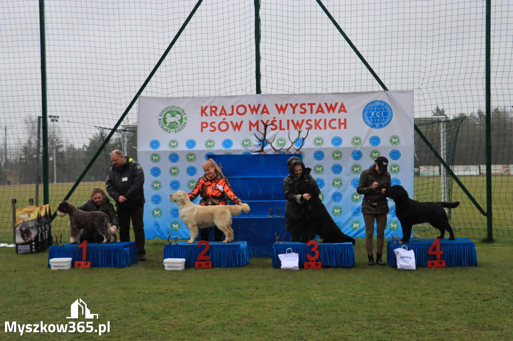 Krajowa Wystawa Psów Myśliwskich - Gniazdów g. Koziegłowy cz. 1