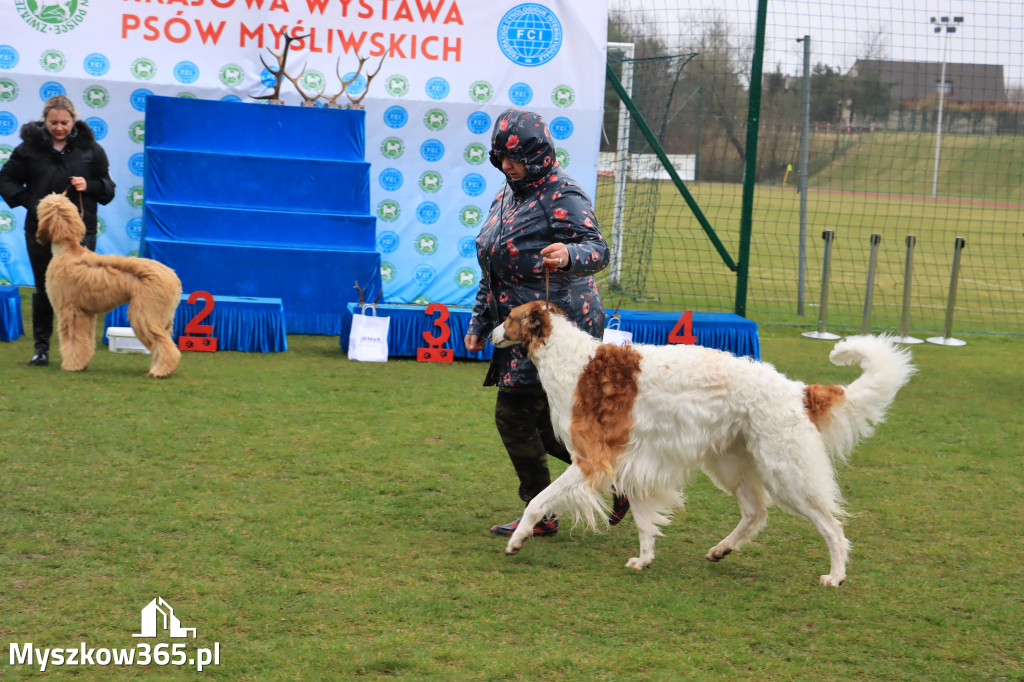 Krajowa Wystawa Psów Myśliwskich - Gniazdów g. Koziegłowy cz. 1