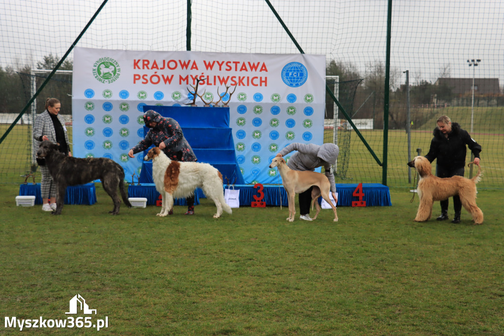 Krajowa Wystawa Psów Myśliwskich - Gniazdów g. Koziegłowy cz. 1