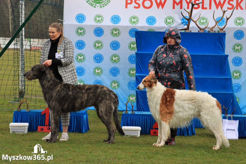 Krajowa Wystawa Psów Myśliwskich - Gniazdów g. Koziegłowy cz. 1