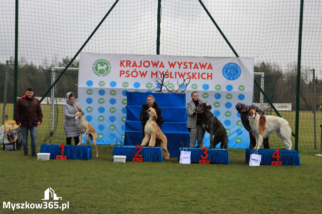 Krajowa Wystawa Psów Myśliwskich - Gniazdów g. Koziegłowy cz. 1