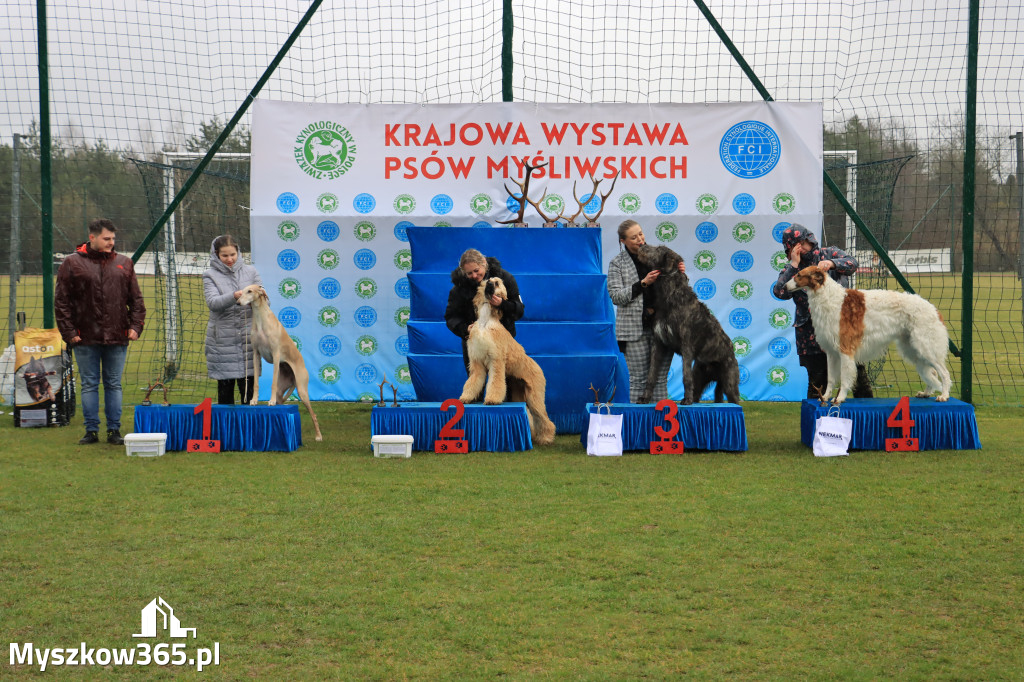 Krajowa Wystawa Psów Myśliwskich - Gniazdów g. Koziegłowy cz. 1