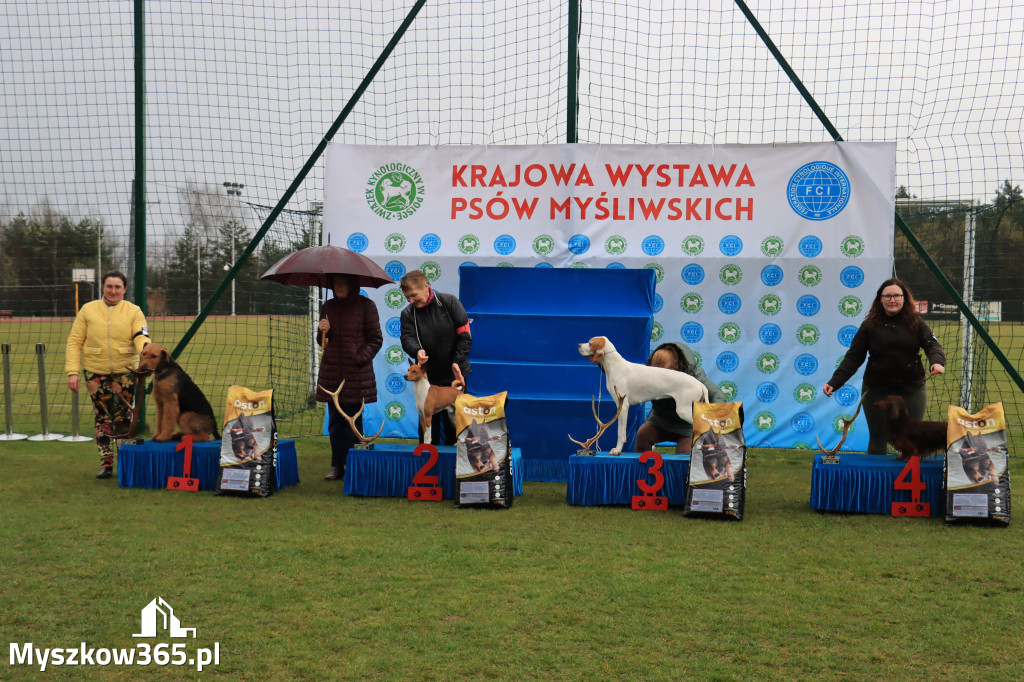 Krajowa Wystawa Psów Myśliwskich - Gniazdów g. Koziegłowy cz. 1