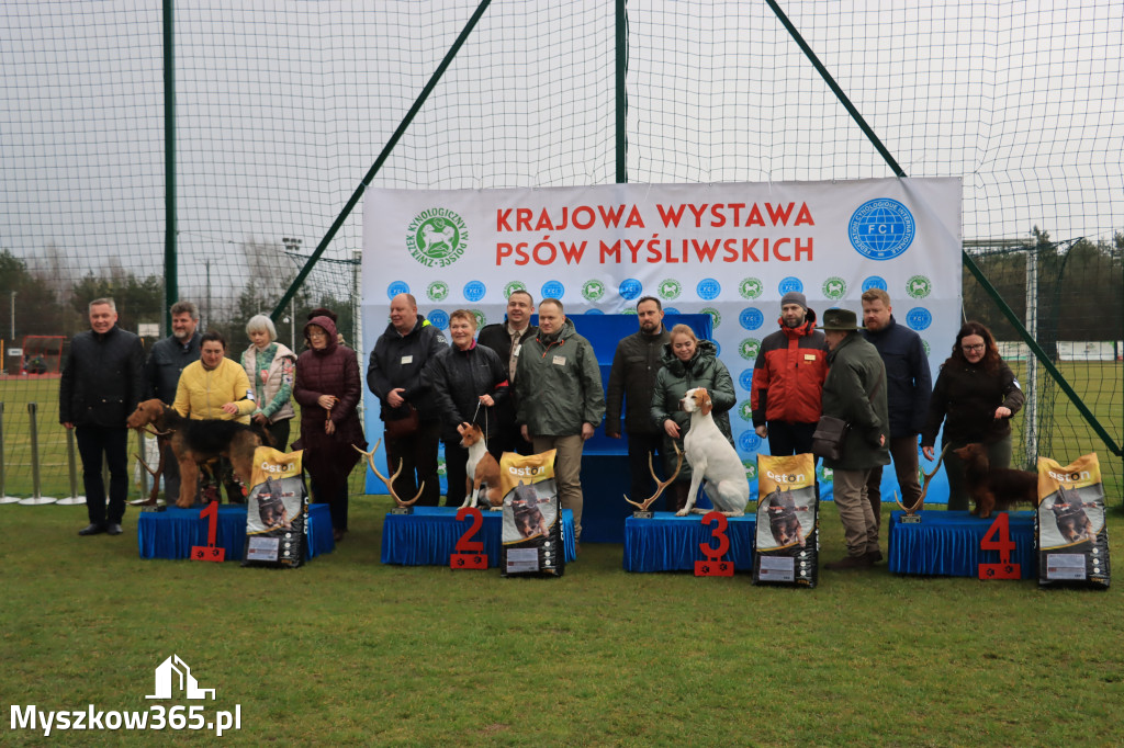 Krajowa Wystawa Psów Myśliwskich - Gniazdów g. Koziegłowy cz. 1