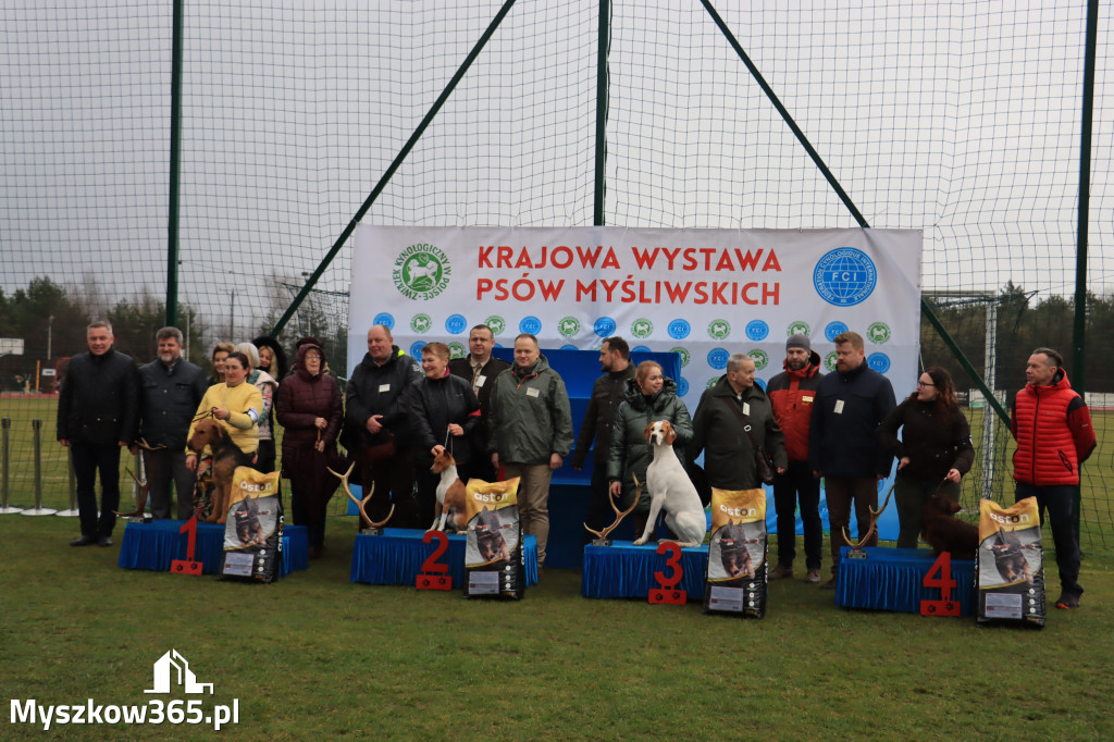 Krajowa Wystawa Psów Myśliwskich - Gniazdów g. Koziegłowy cz. 1