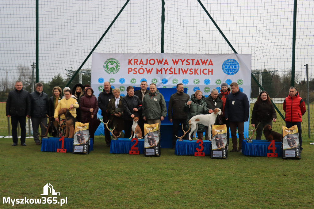 Krajowa Wystawa Psów Myśliwskich - Gniazdów g. Koziegłowy cz. 1